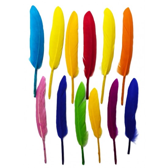 ريش الوان صغير 12 قطعة بكرت